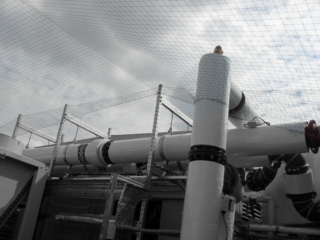 Bird Control in Boston, Lincolnshire